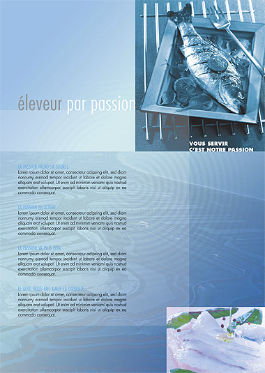 Infographiste Freelance - Maquette de catalogue de tarif